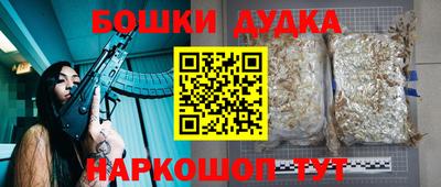 бошки Гатчина