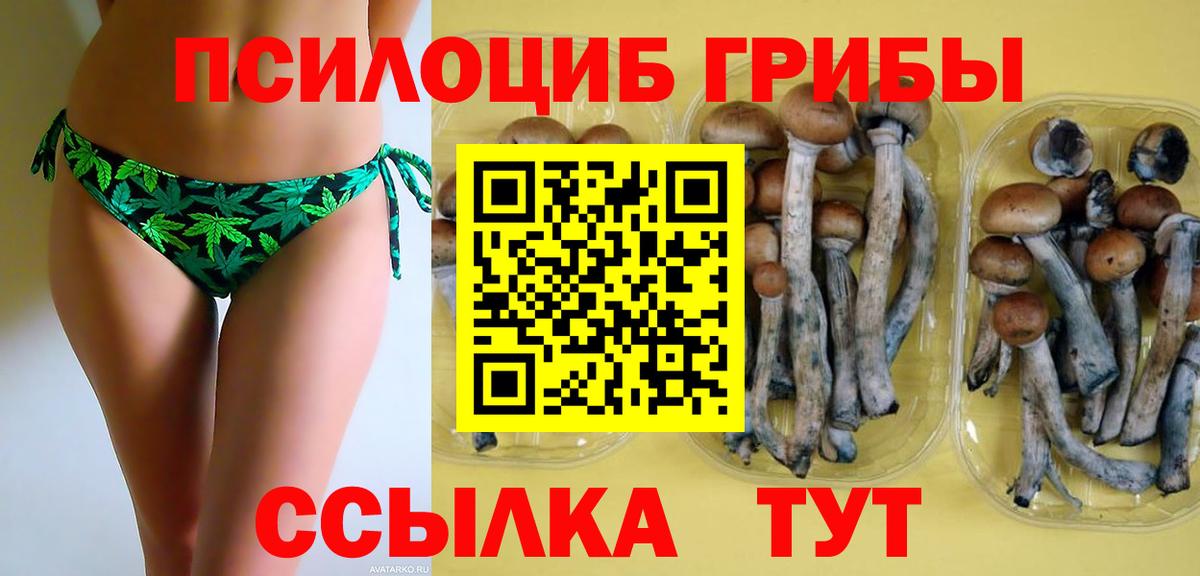 Галлюциногенные грибы прущие грибы Алапаевск