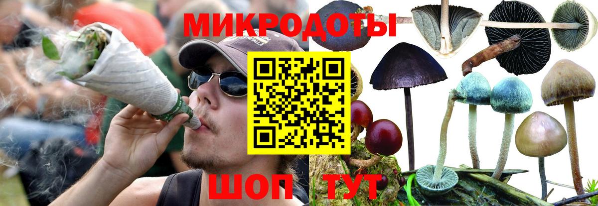 Алапаевск  продажа наркотиков  Вход с VPN  Галлюциногенные грибы ЛСД 